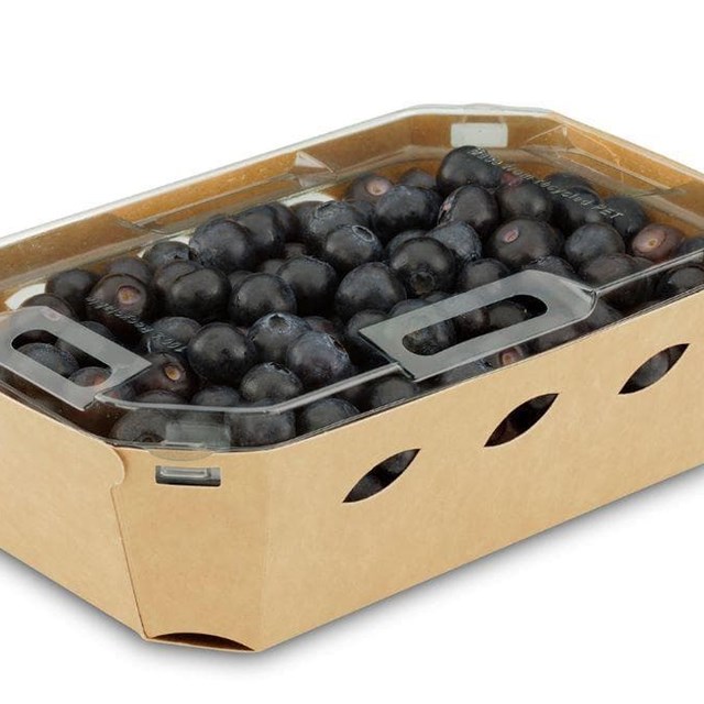 12 kg Arándanos Frescos (9 €/Kg)                ¡Envío GRATIS!
