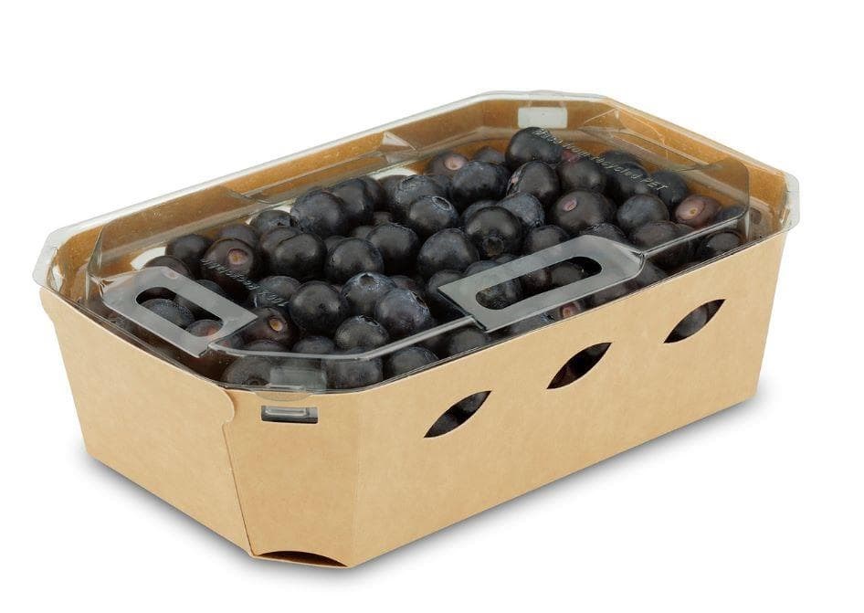 Foto 1 6 kg Arándanos Frescos (9 €/Kg)                ¡Envío GRATIS!