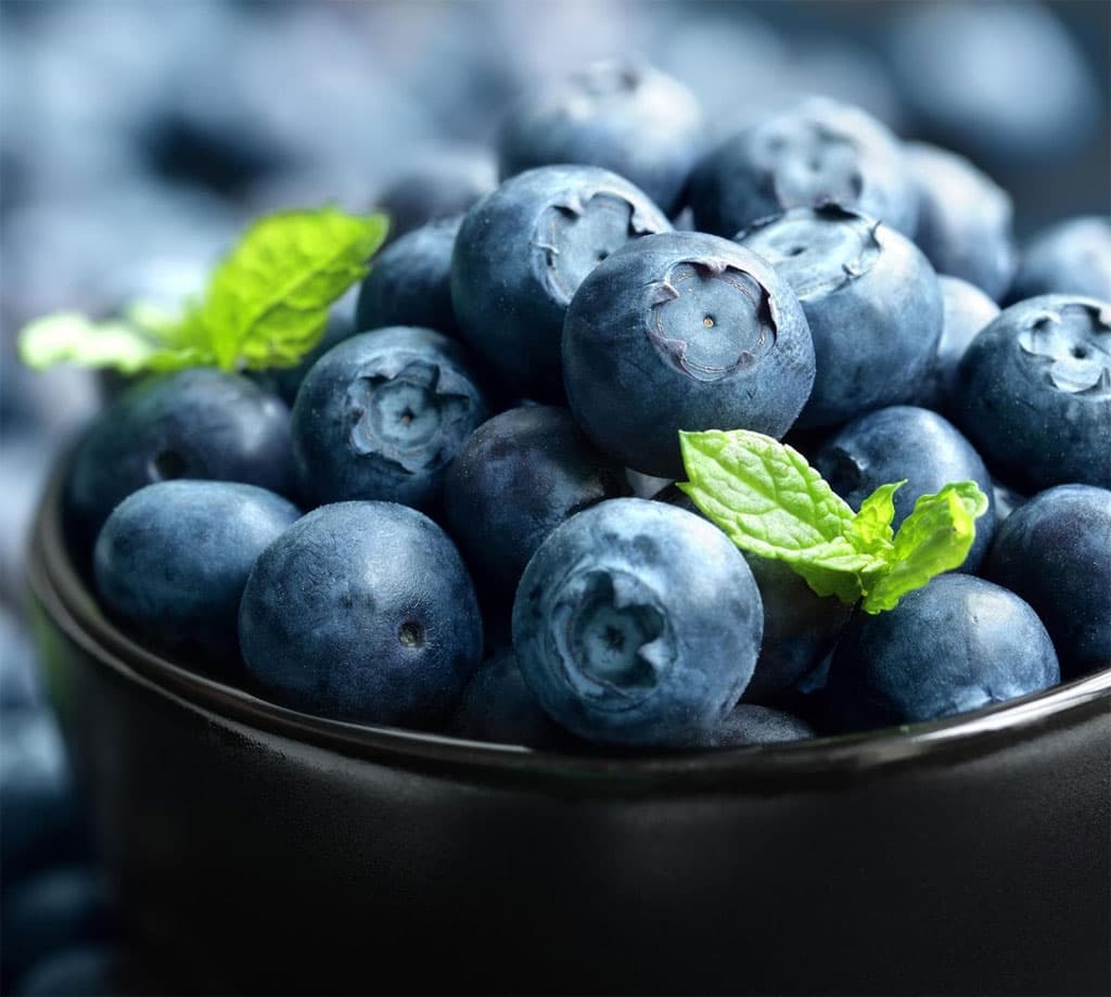 Arándanos ecológicos
