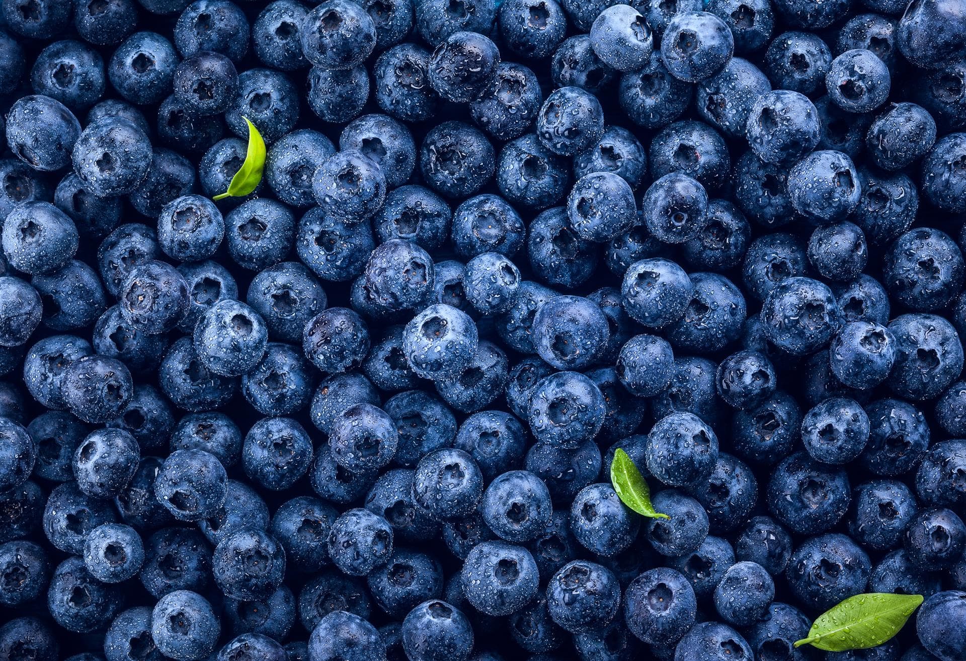  Recetas fáciles y deliciosas con arándanos azules