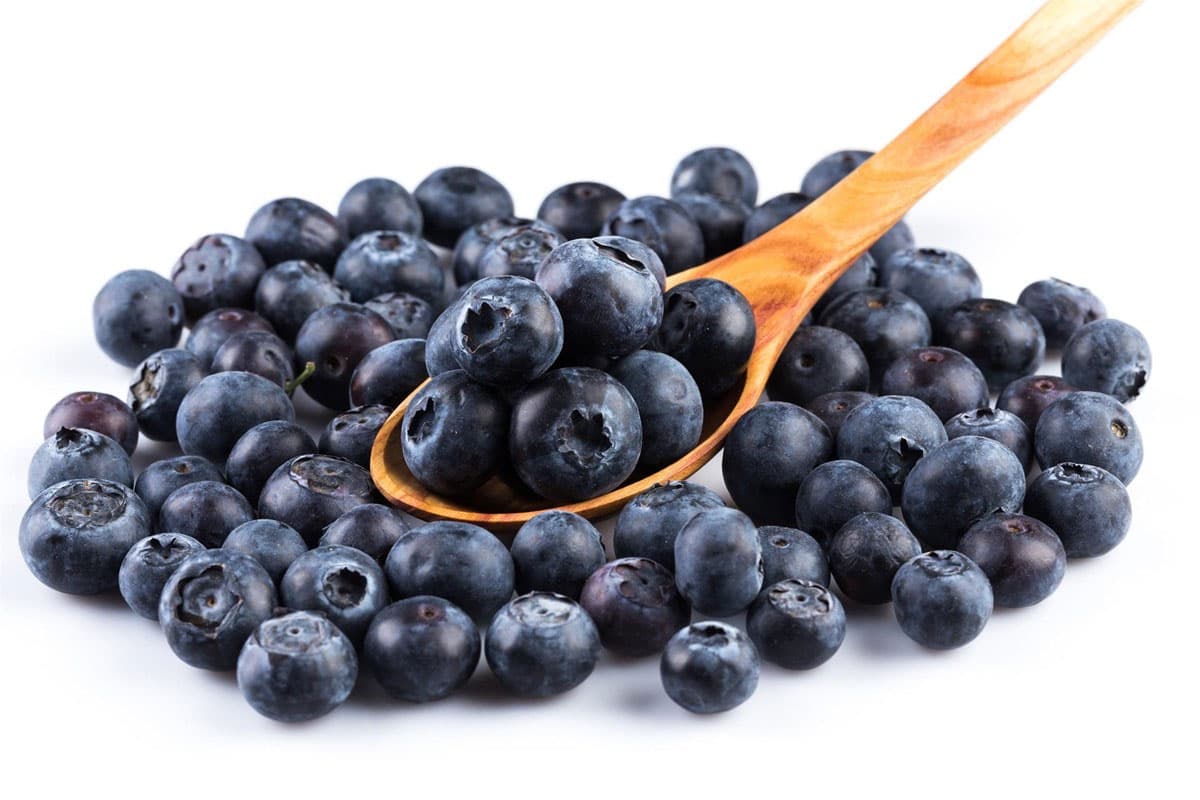 Venta de arándanos de Galicia