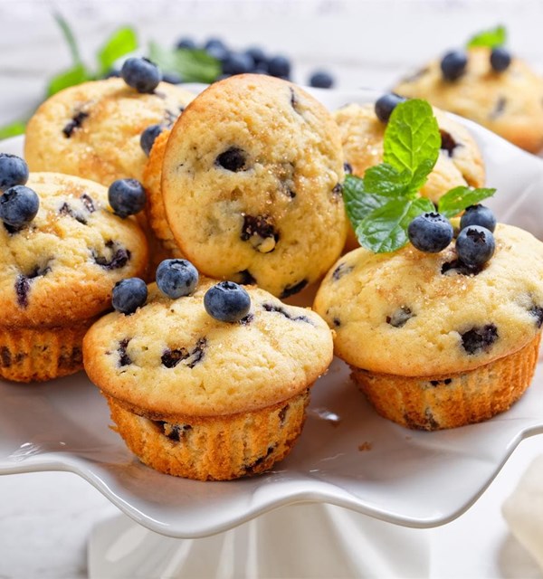 Recetas sabrosas con Arándanos del Alba